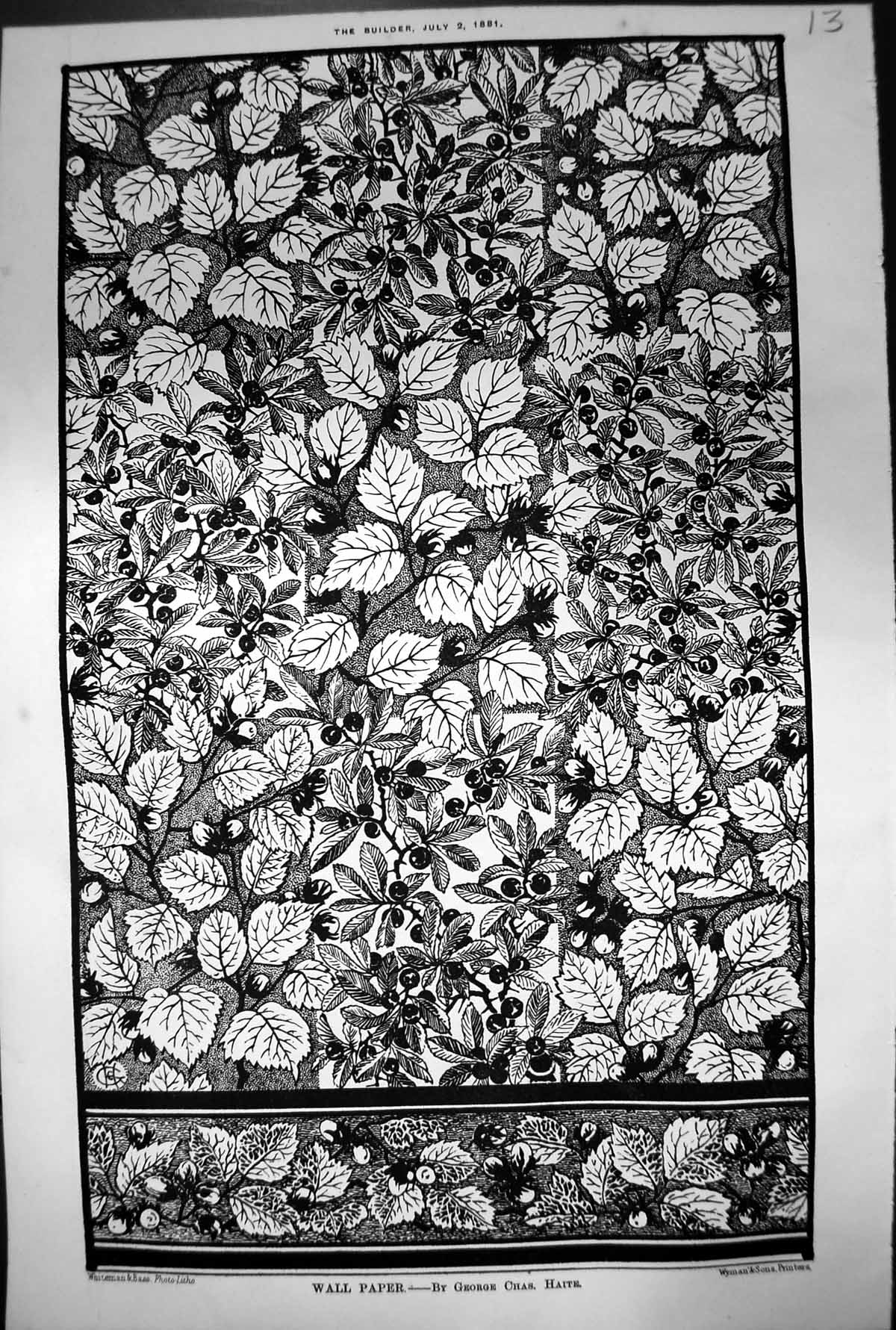 Antique Print Illustration Wallpaper George Chas Haite Leaves Berries 1881 19th