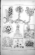 Antique Old Print Animals Plants Etc Fifteenth Century Woodcuts Foliage 1885