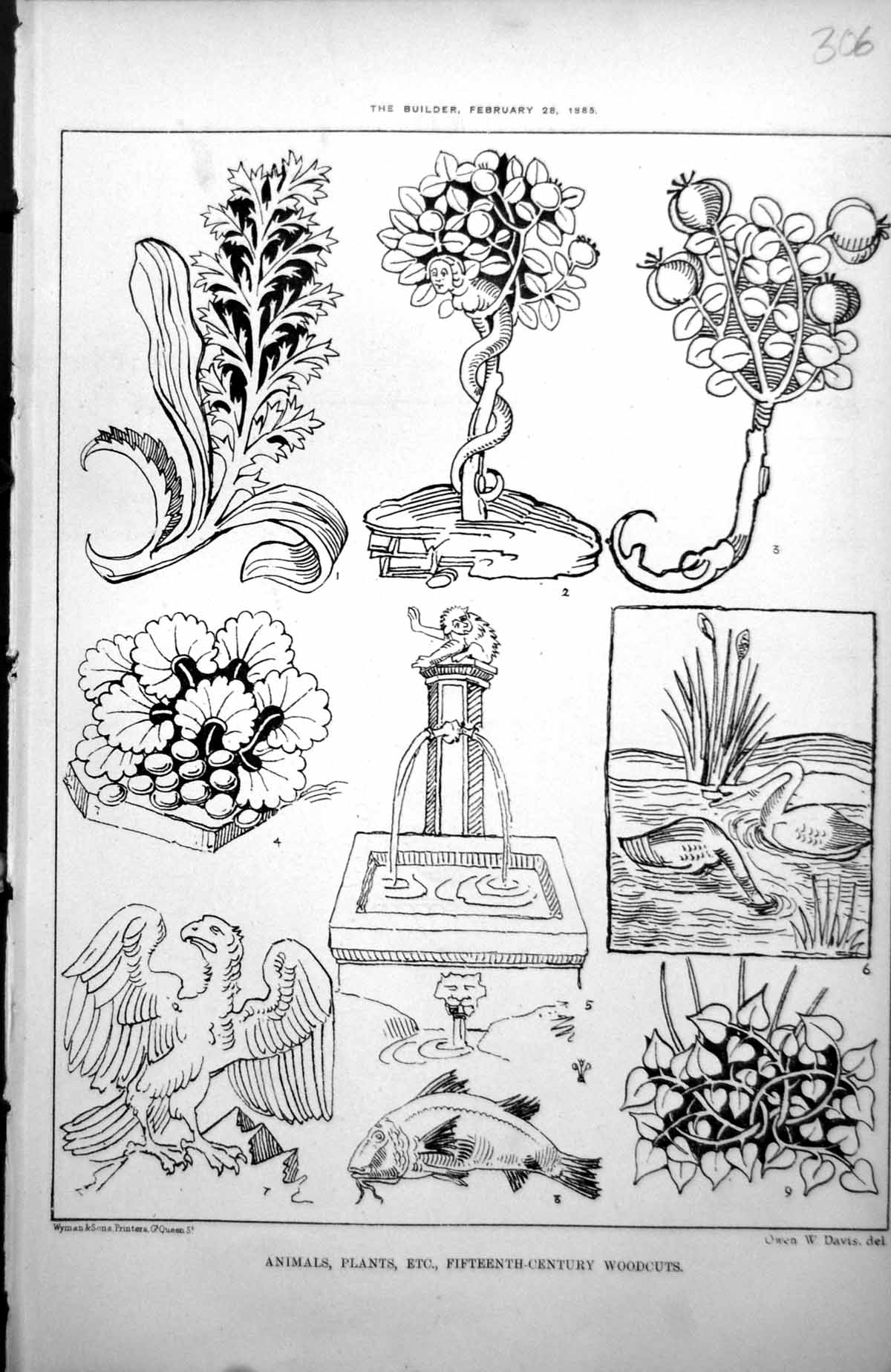 Antique Old Print Animals Plants Etc Fifteenth Century Woodcuts Foliage 1885