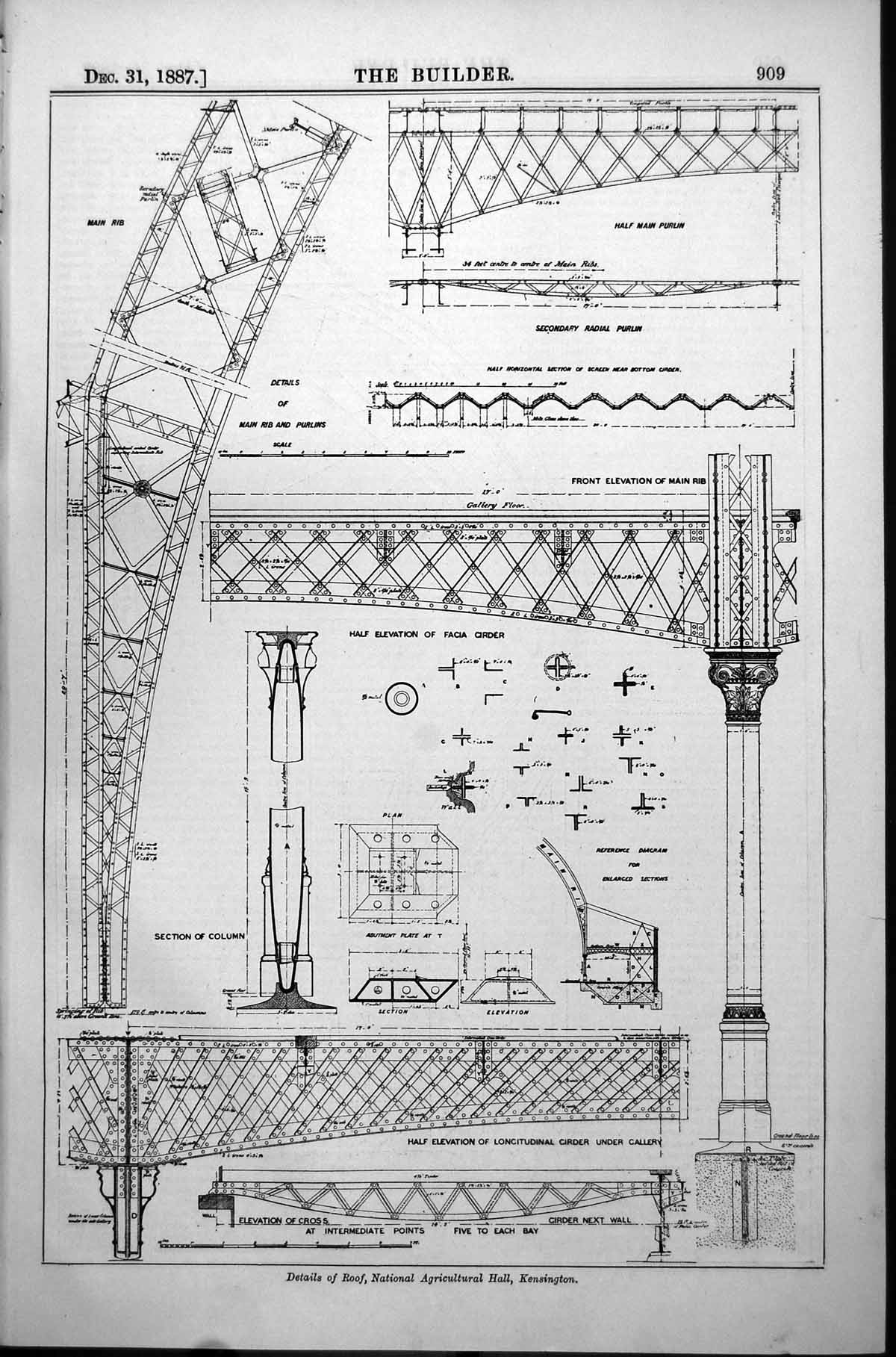 Antique Print Details RoNational Agricultural Hall Kensington Stresses 1887