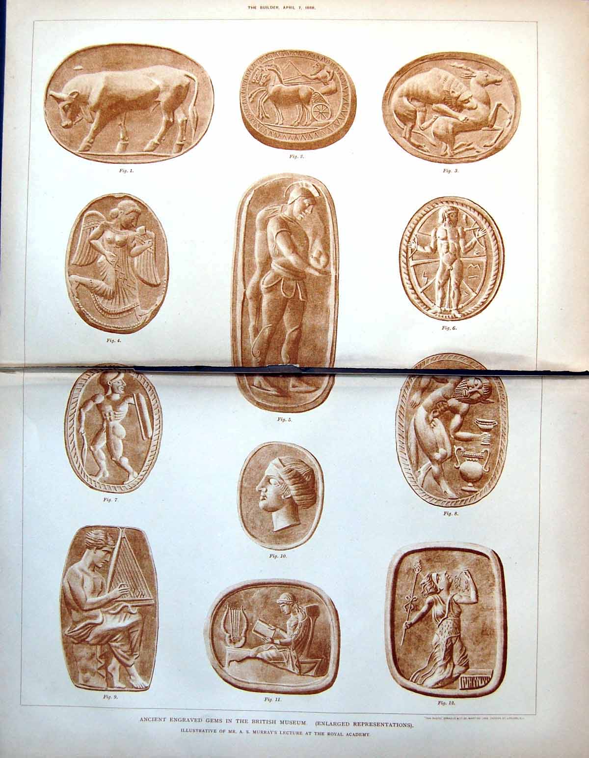 Old Ancient Enlarged Gems British Museum A Murrays Lecture 1888 Damaged 19th