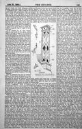 Antique Print One Chimneys Chateau De Chambord Slate Triangle Diamond 1889 19th