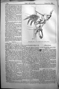 Original Old Antique Print Builder 1891 Architecture Link Her Siena Percy Adams