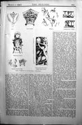 Old Builder 1896 Romanesque Ornament Fern Capital Death Pale Horse No Victorian