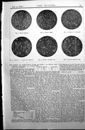 Old Antique Print Builder 1897 Kentish Ragstone Portland Cement Clinker 19th