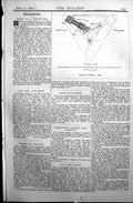 Original Old Antique Print Builder 1897 Architecture Design Plan Fountain 19th