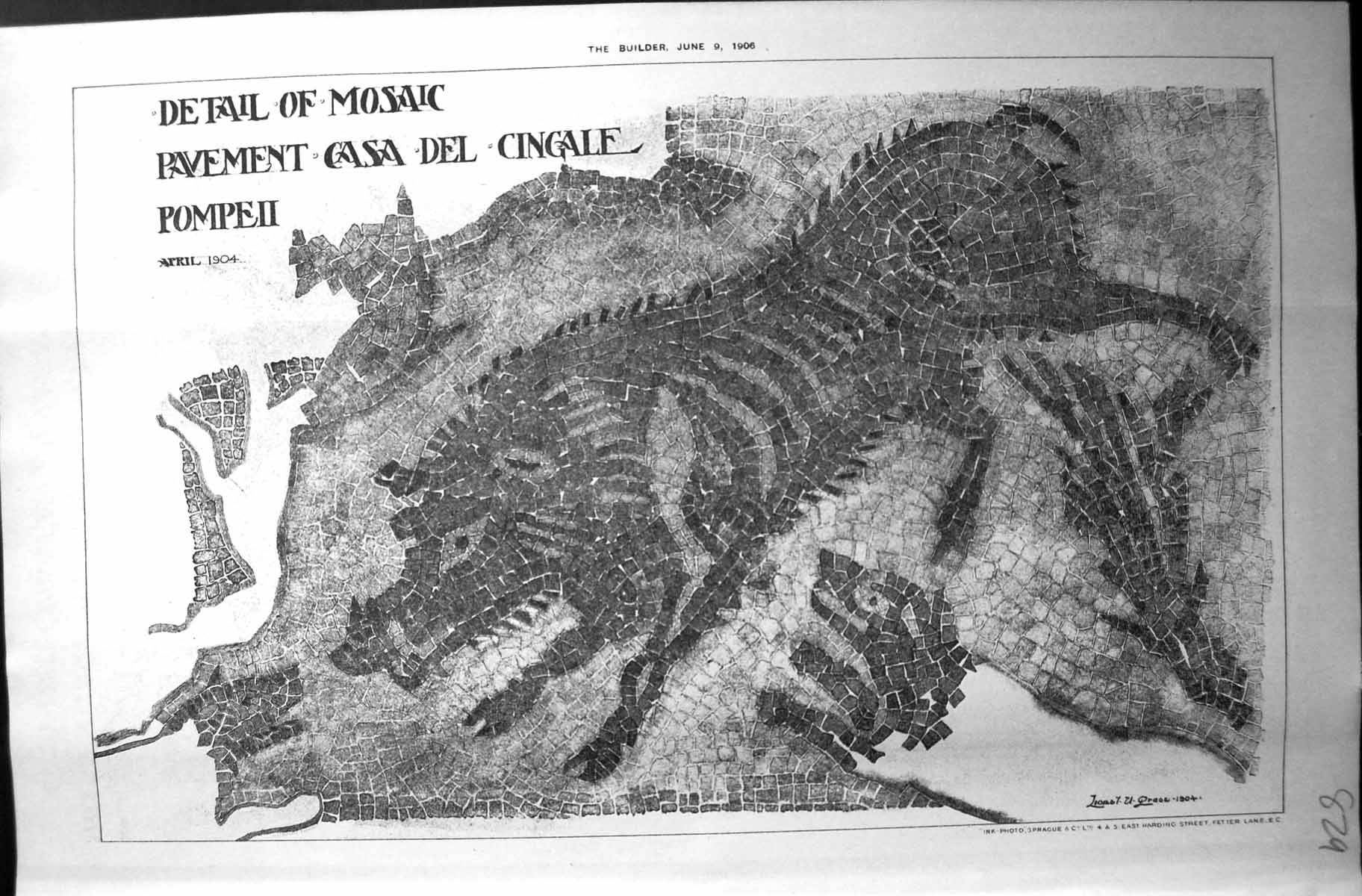 Old Detail Mosaic Pavement Cingale Pompeii Architecture 1906 Builder 20th