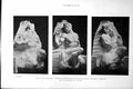 Antique Old Print Earth Fire Water Heroes Liverpool Calton Hill Monument 1918