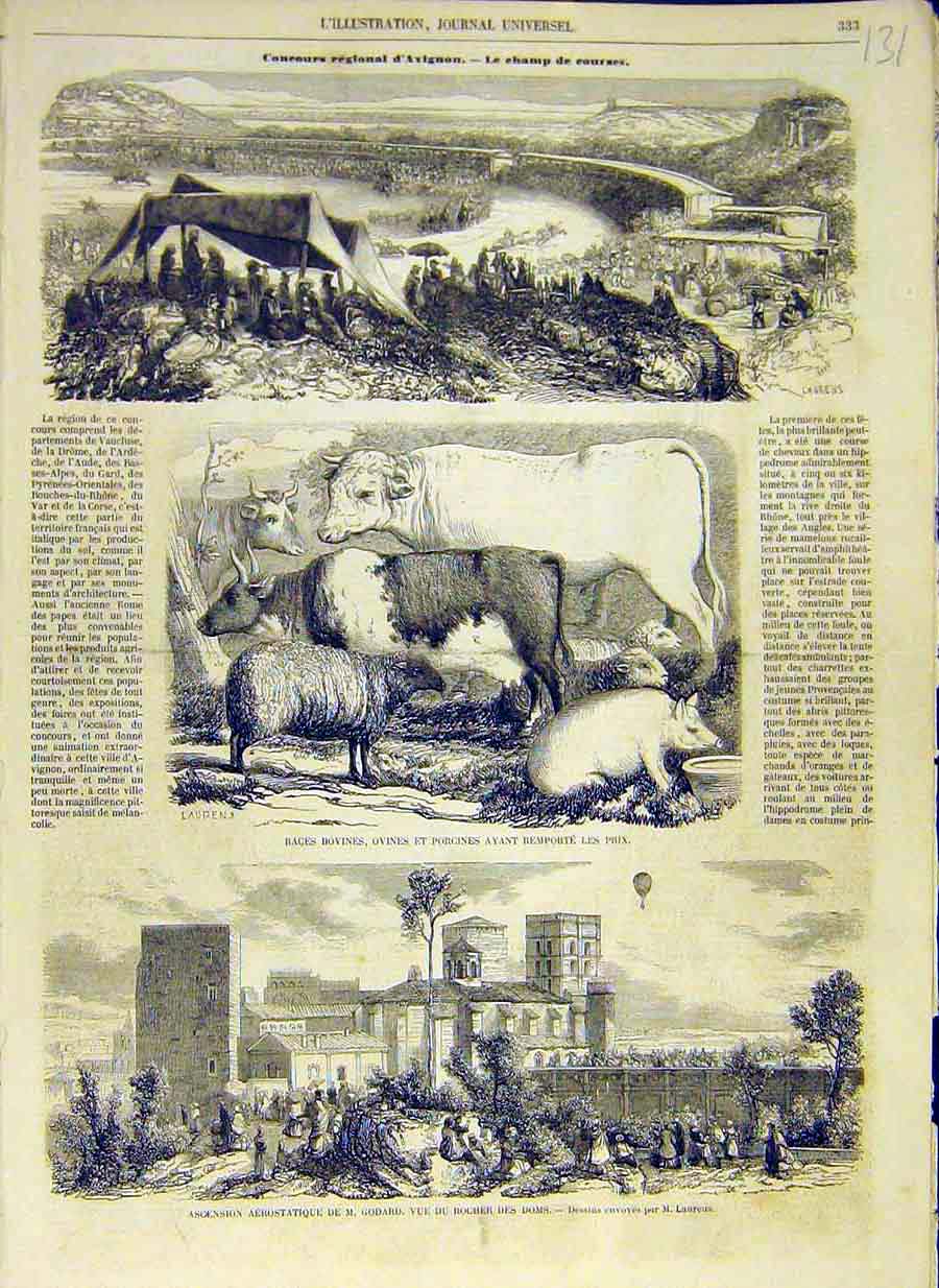 Original Old Antique Print 1858 Avignon Race-Course Cattle Sheep Godard Balloon