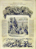 Original Old Antique Print 1858 Horticulture Society Plants Fruit Vegetables