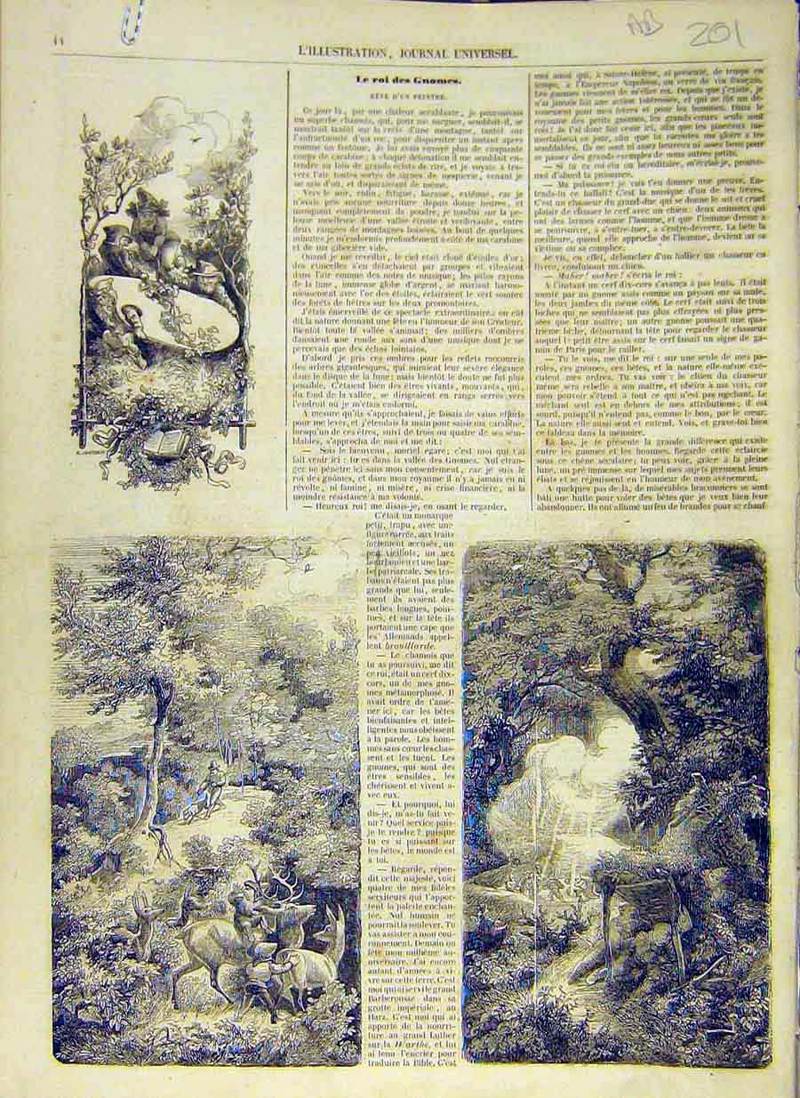 Original Old Antique Print 1858 Gnomes King Sketches Story Kingdom French 19th