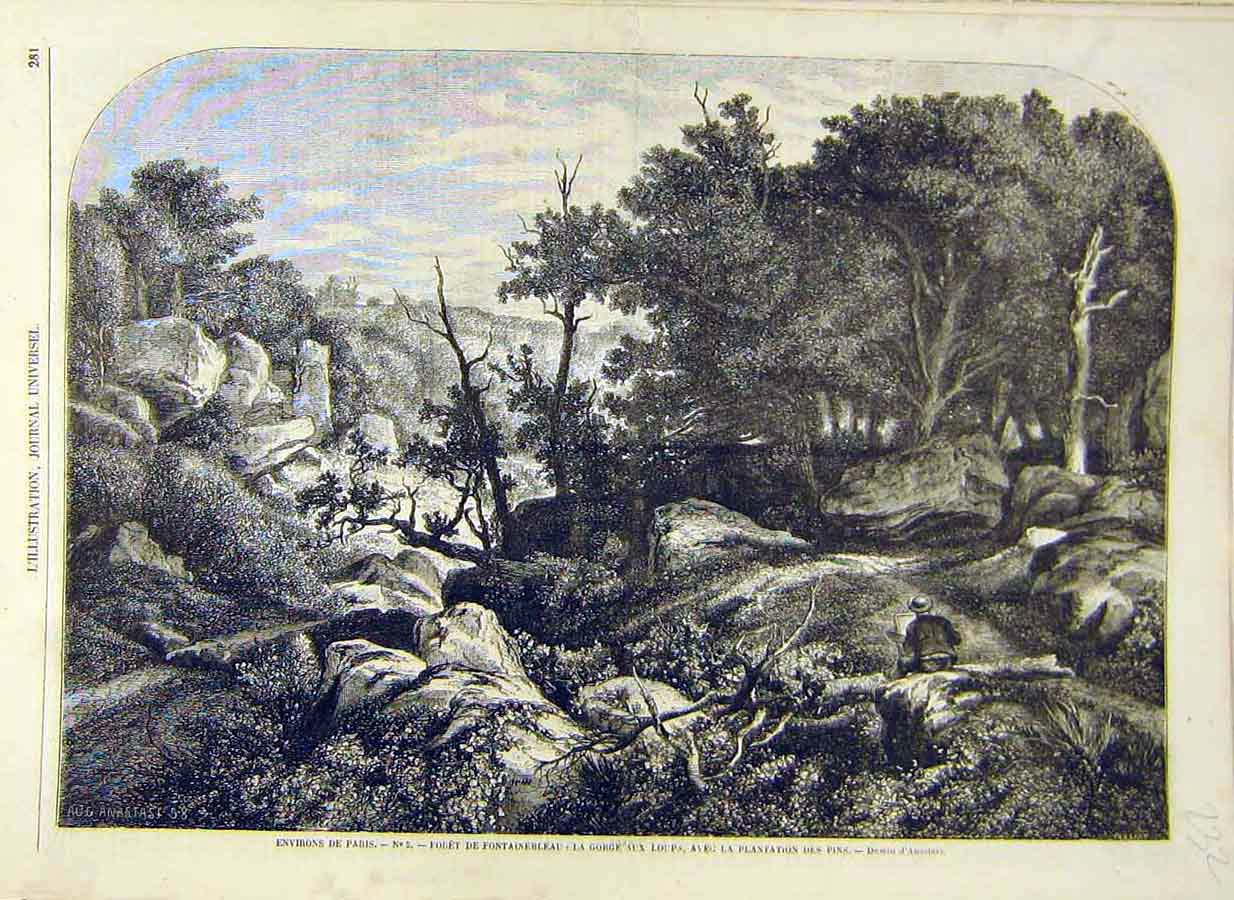 Original Old Antique Print 1858 Paris Country Forest Fountainebleau French 19th