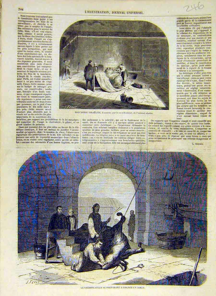 Original Old Antique Print 1858 Israelites Animal Abbatoir Beef Cow Butcher 19th