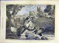Original Old Antique Print 1858 Fox Pheasant Fine Art Beauvarlet French 19th