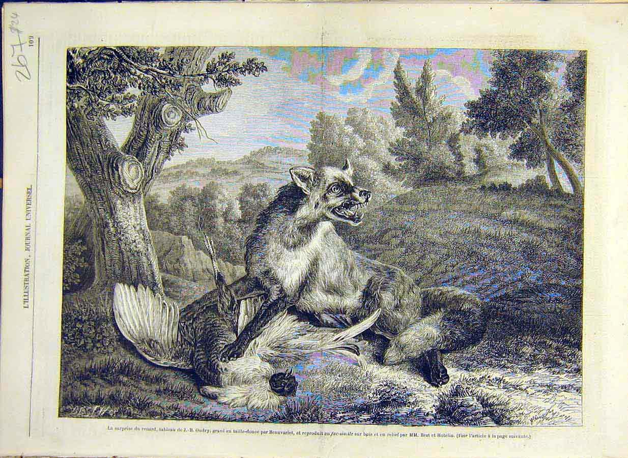 Original Old Antique Print 1858 Fox Pheasant Fine Art Beauvarlet French 19th