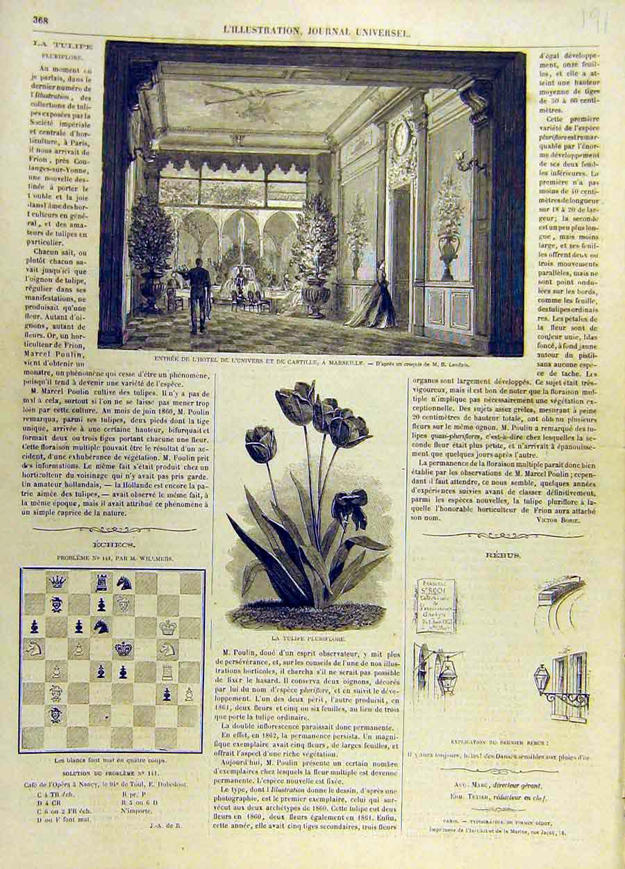 Original Old Antique Print Castille Hotel Marseilles Tulip Flower Pluriflore
