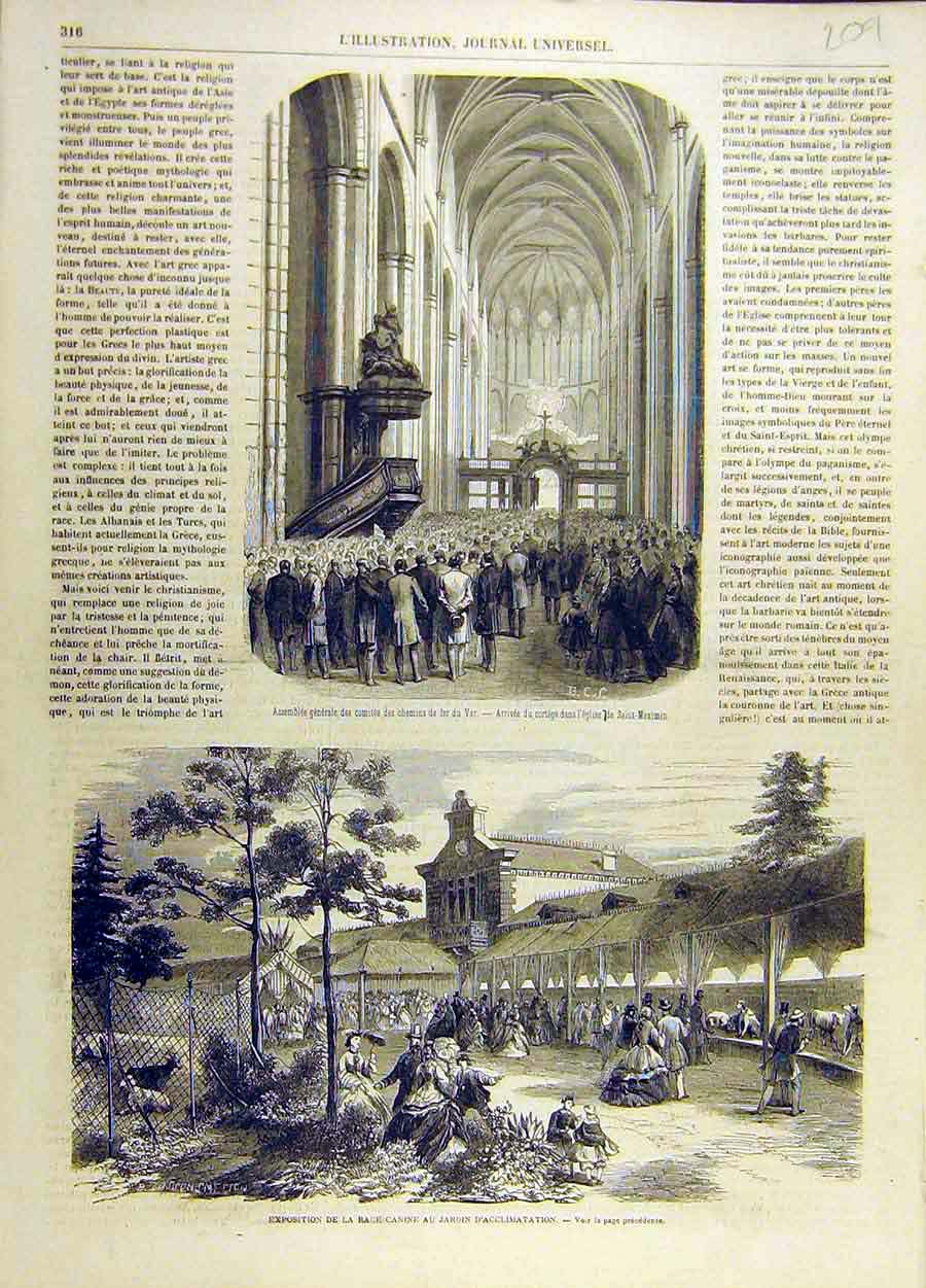 Original Old Antique Print Var Church Dog-Races Racing Garden French