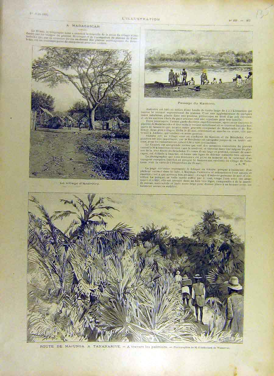 Original Old Antique Print 1895 Madagascar Androto Kamoro Tanananarive Palms