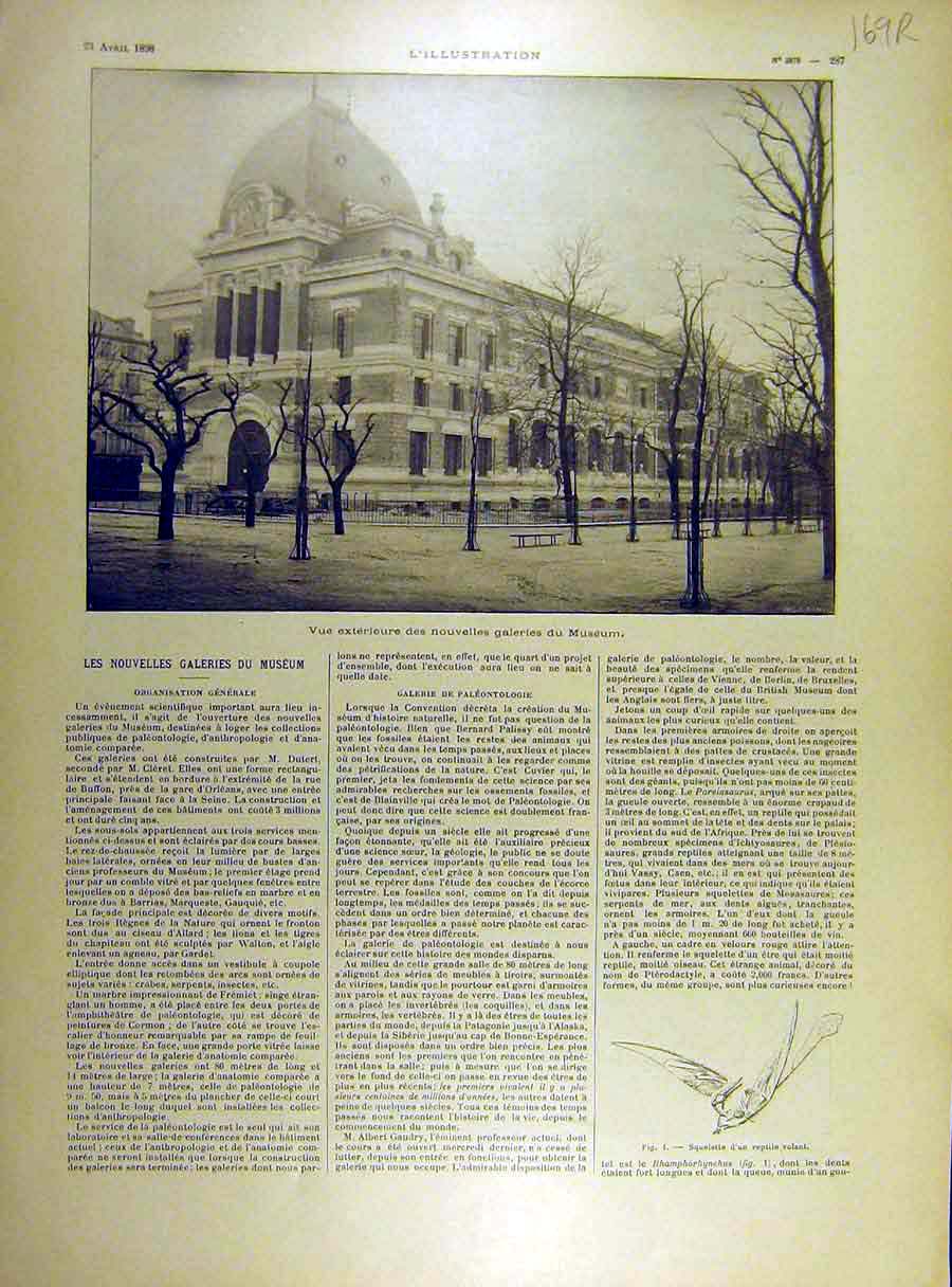 Original Old Antique Print 1898 Museum Gallerey Reptile Mastedon Dinosaurs 19th