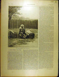 Old Antique Print 1902 Scheik Senoussi Fort Crampel Kouti Sultan French 20th