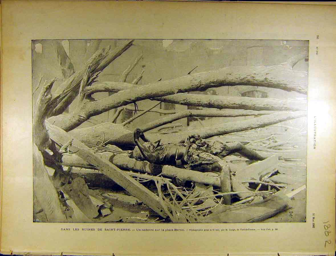 Old Antique Print 1902 St. Pierre Ruins Body Trees Hugo Bertin War French 20th