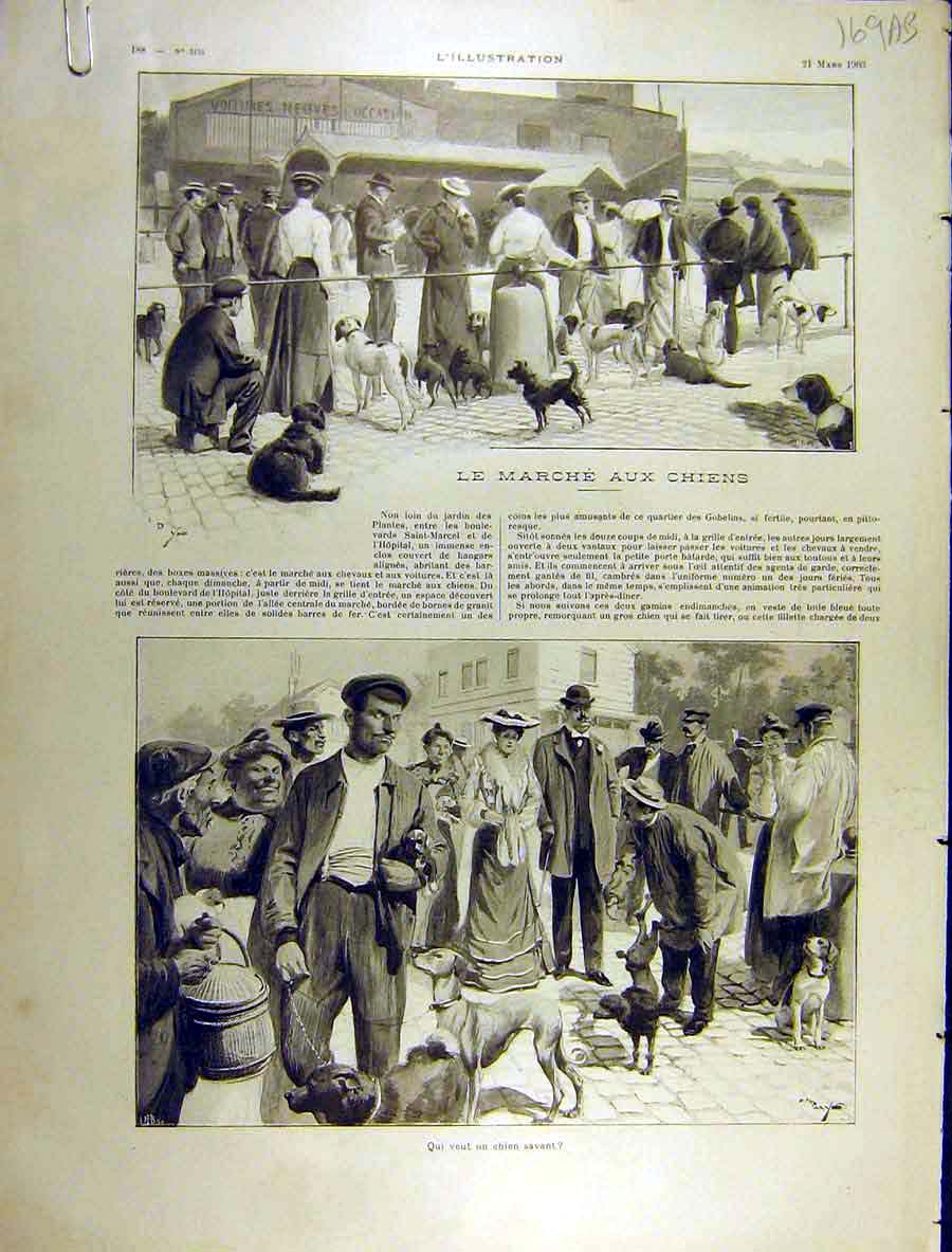 Original Old Antique Print 1903 Dog March Canine Chiens Paris France French
