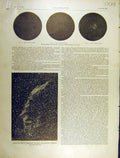 Original Old Antique Print 1903 Galaxy Celestial Constellation Stars French