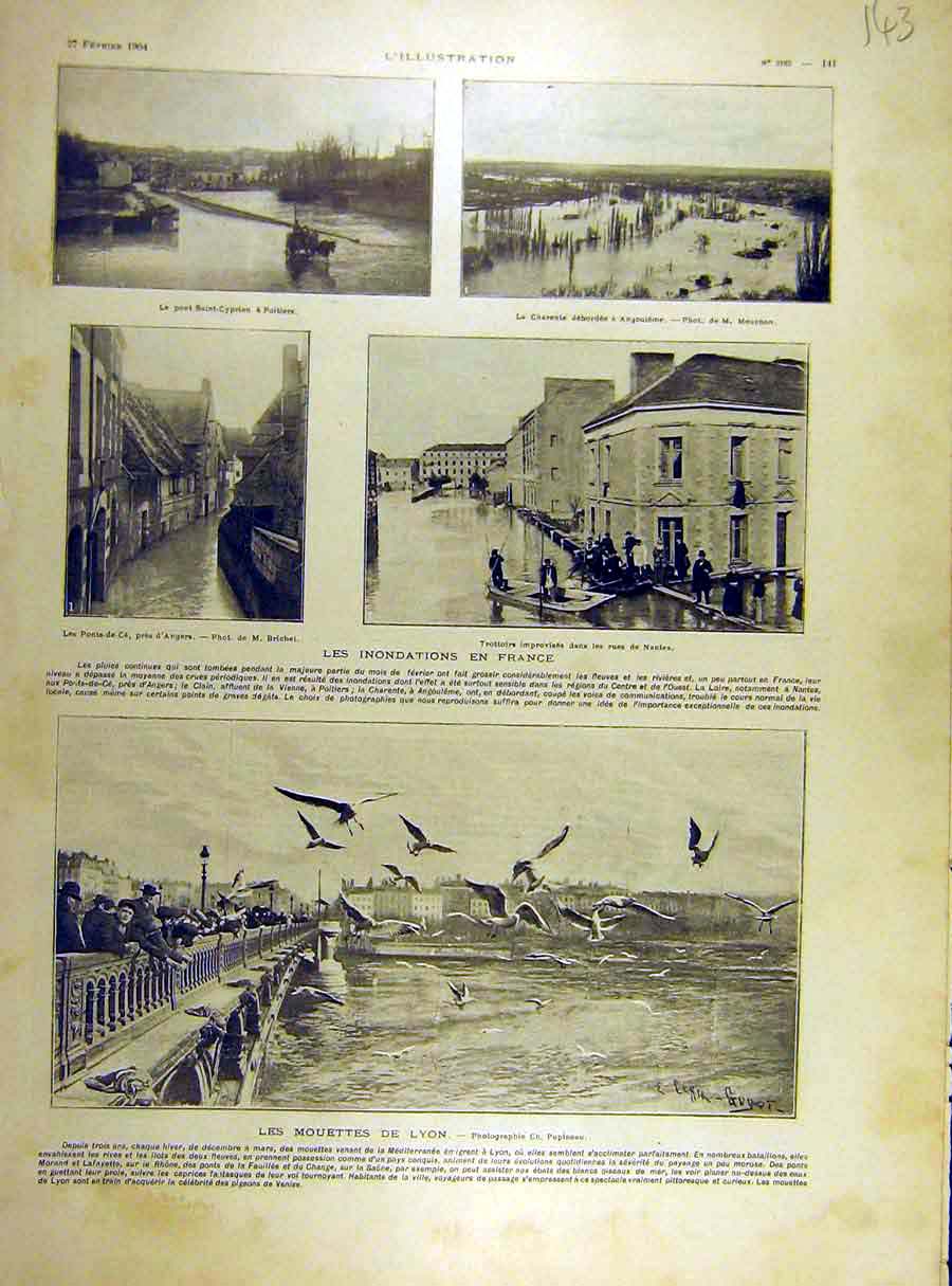 Original Old Antique Print 1904 Floods France Nantes Lyon Sea-Gulls French 20th