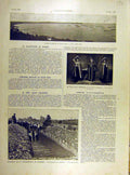 Original Old Antique Print 1904 Juan Gulf English Squadron Mamers Tree Theatre