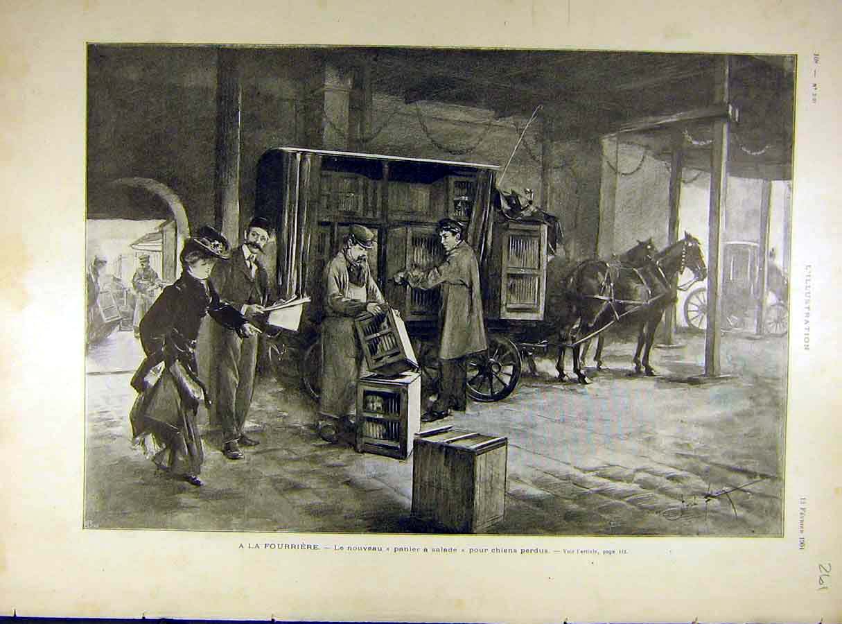 Original Old Antique Print 1904 Dogs Furrier Cages Canine French Page 20th
