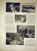 Original Old Antique Print German Aeroplane Albatros Tauben French 1915 20th