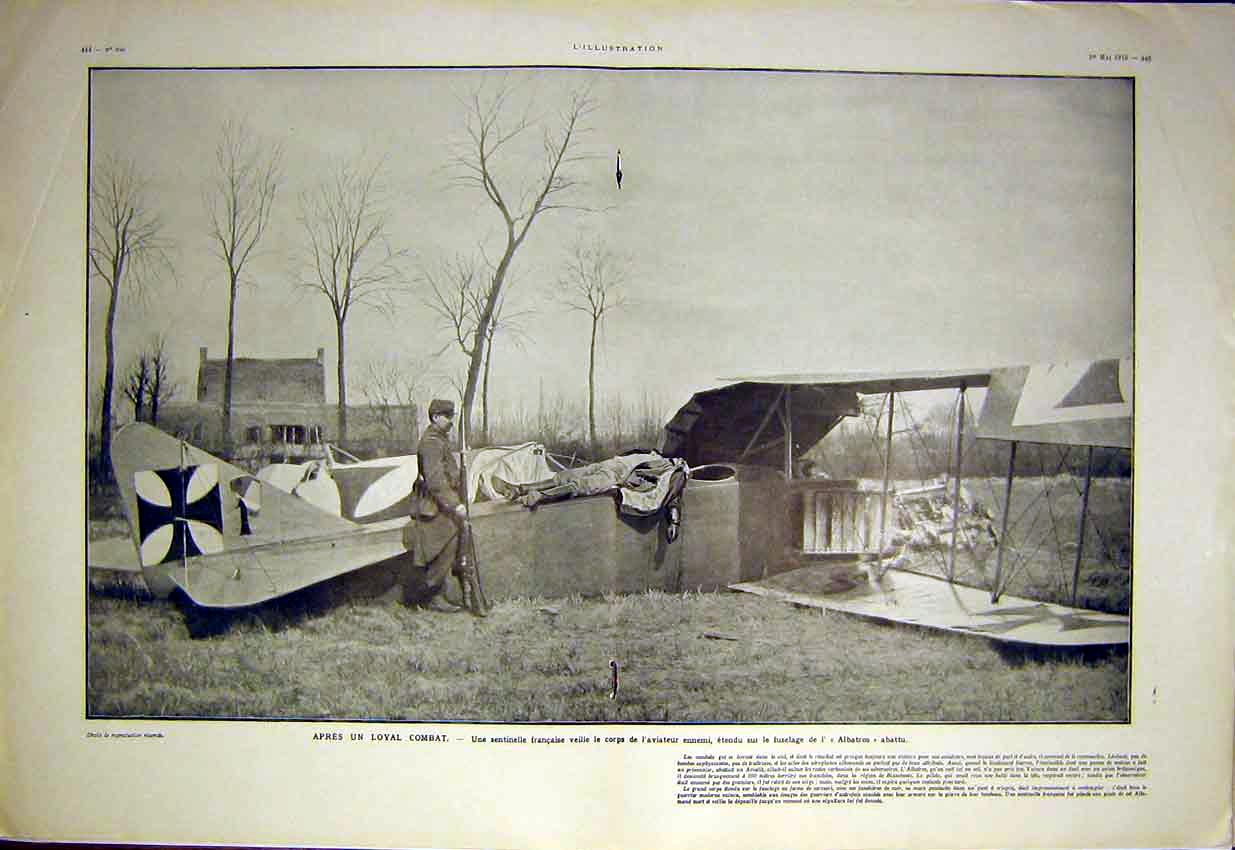 Original Old Antique Print Pilot Aeroplane Albatros Sier Military Aviation 1915