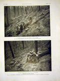 Original Old Antique Print Wounded Siers Evacuation Comrades French 1915 20th
