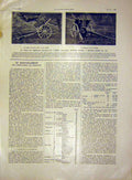 Original Old Antique Print Canon Italian Army French 1915 Military 20th Century