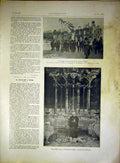 Original Old Vintage Print Reims Funeral President Lucon Priest French 1917 20th