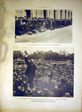 Original Old Antique Print Recruits Military Roosevelt Paris Crowd French