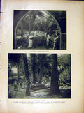 Original Old Vintage Print Garden Cote D'Azur Film Daoula Terrace Sultan 1919