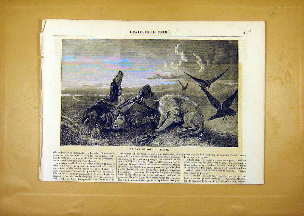 Original Old Antique Print Dogs Friend Death Man Birds Fine Art French 1859