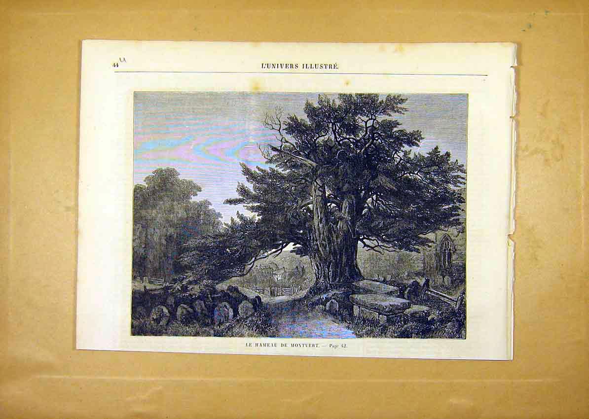 Original Old Antique Print Tree Hamlet Montvert Hameau French 1859 Victorian