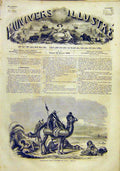 Original Old Antique Print Suez Isthme Desert Camel French 1859 19th