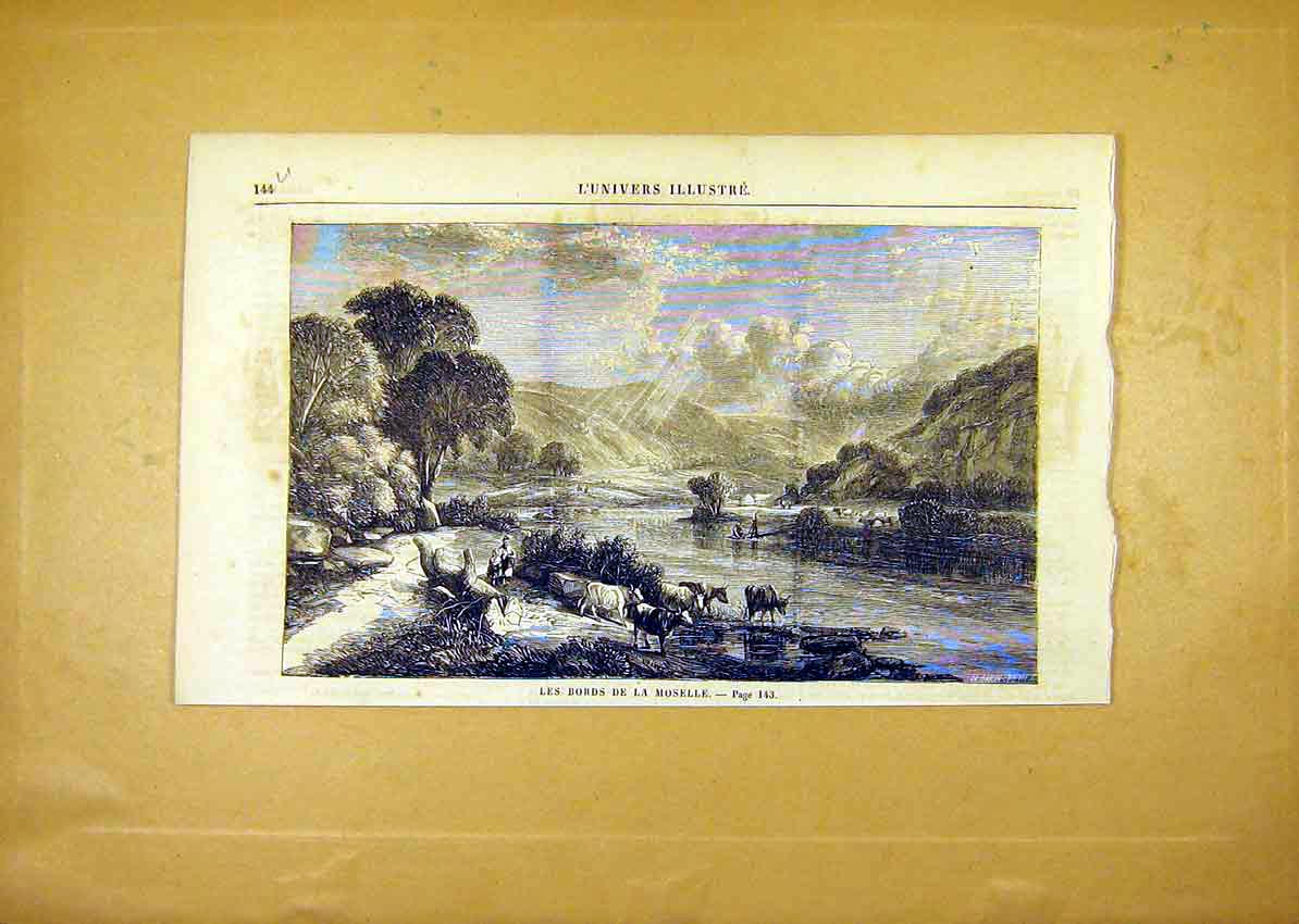 Original Old Antique Print Moselle River Cattle Fine Art French 1859 Victorian