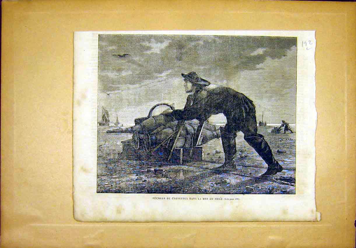 Original Old Antique Print Crayfish Fishing Sea Fisherman French 1865 Victorian