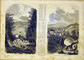 Original Old Antique Print Sallenches Gorge Savoy Bridge Goat French 1865 19th