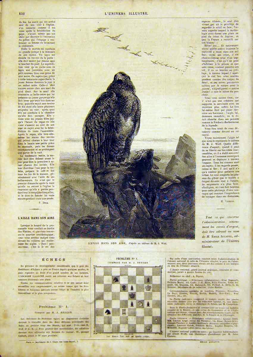 Original Old Antique Print Eagle Wolf Bird Prey Animal French 1866 Victorian