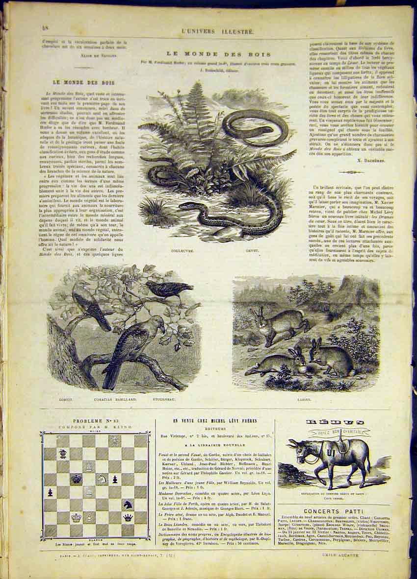 Original Old Antique Print Snake Bird Rabbit Animals French 1868 19th
