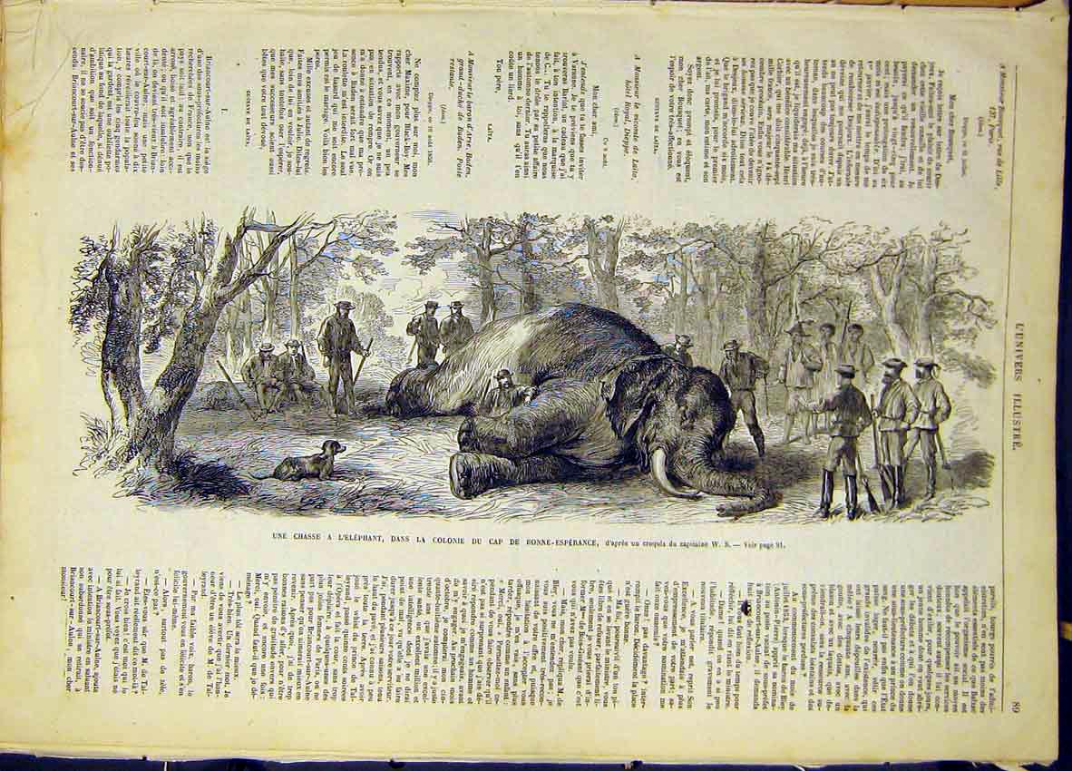 Original Old Antique Print Elephant Bonne-Esperance Hunt Hunting French 1868