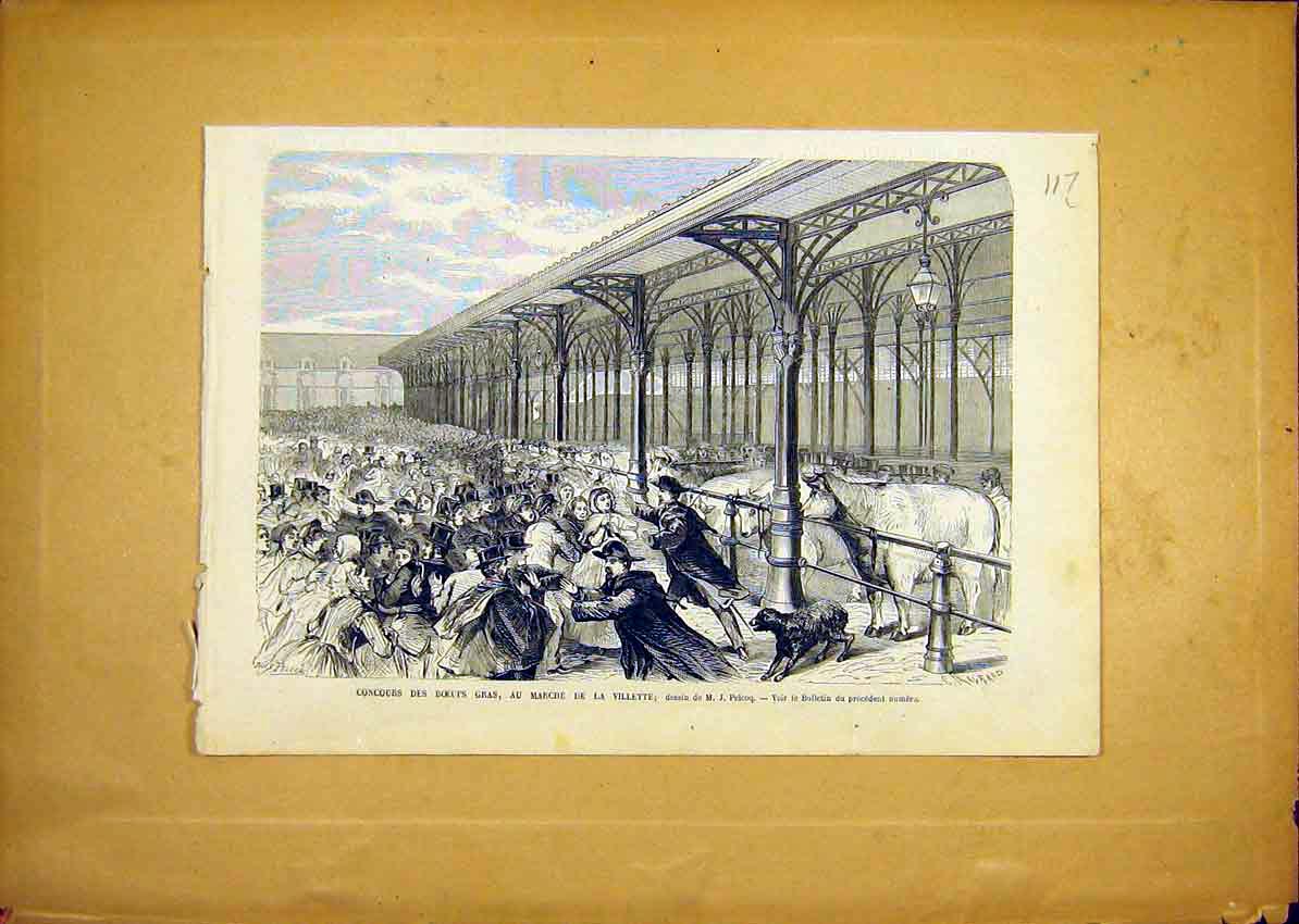 Original Old Antique Print Beef Cattle Market French 1868 19th