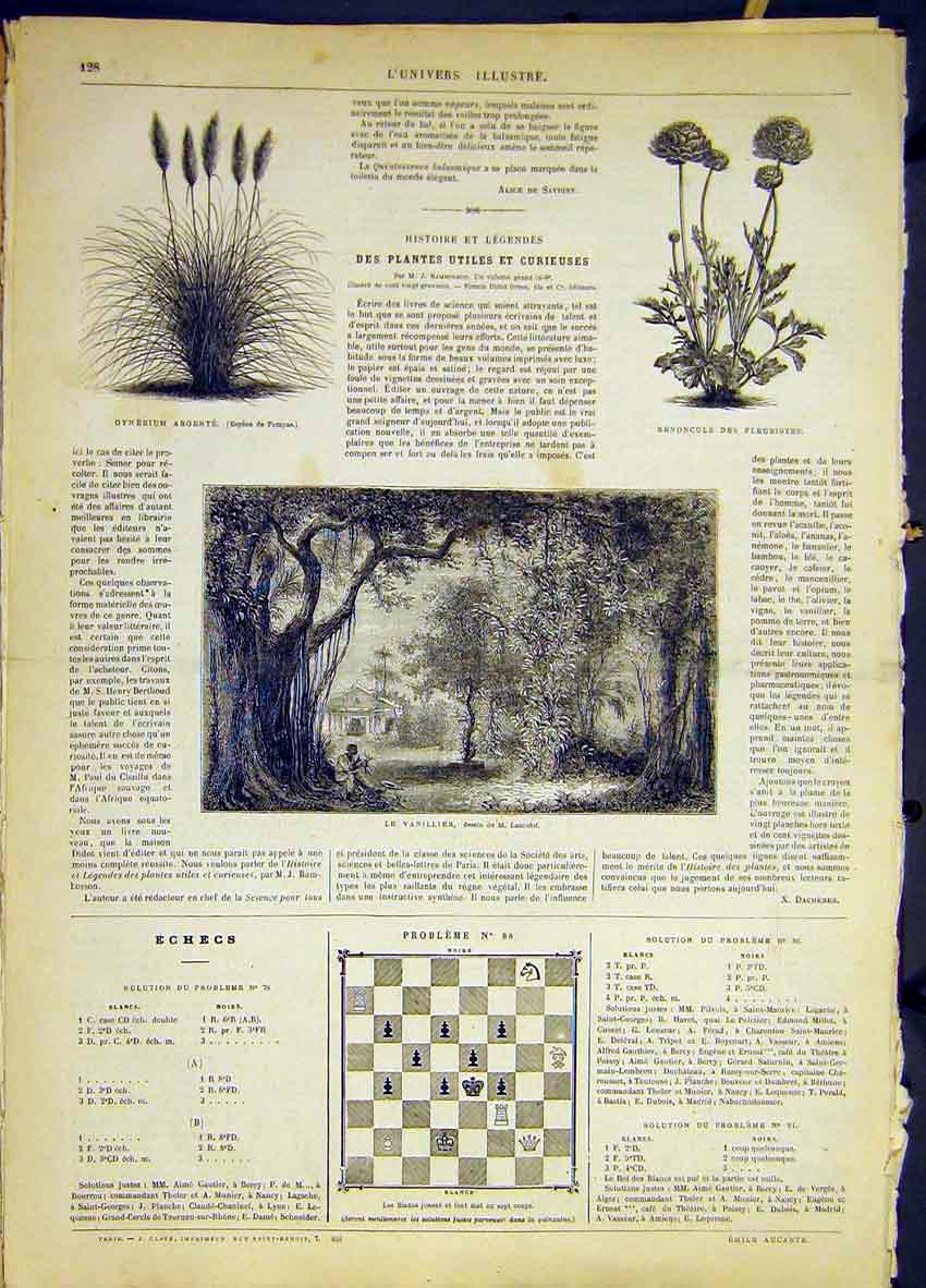 Original Old Antique Print Flora Fauna Plants Vanilla French 1868 19th