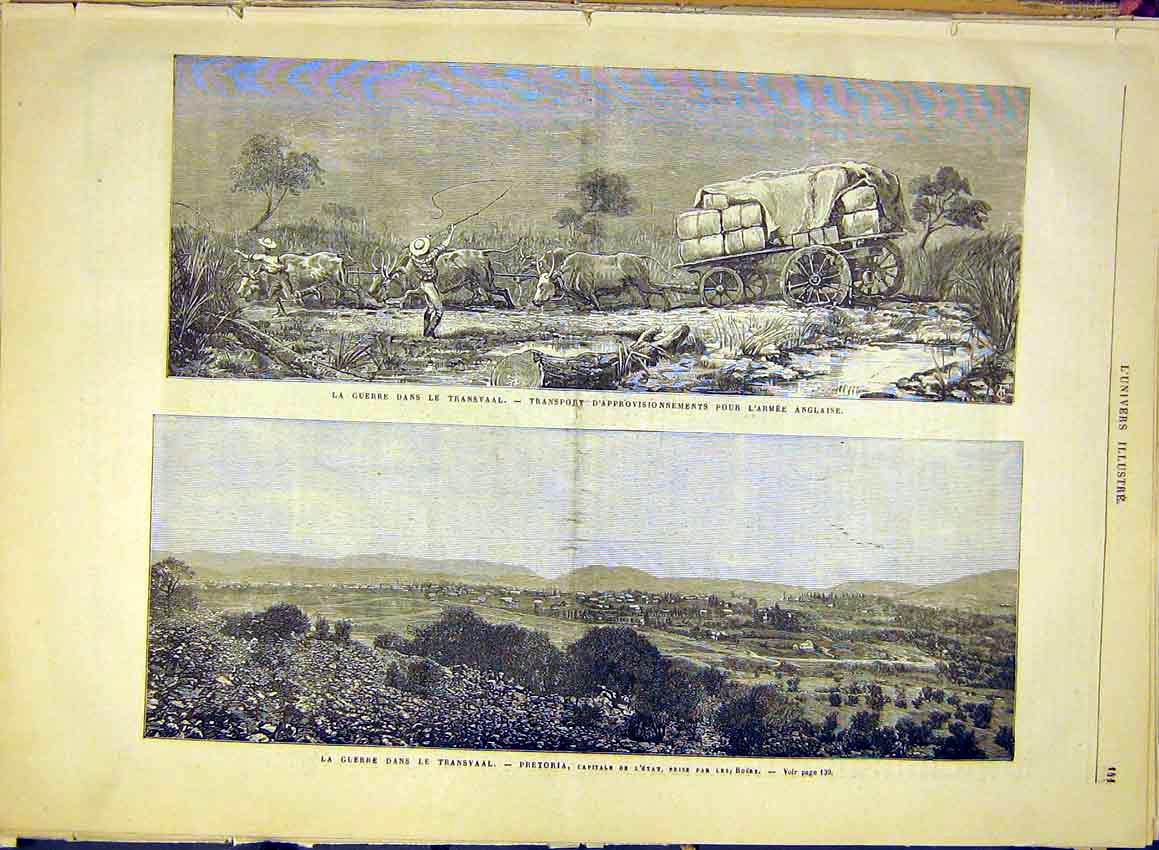 Original Old Antique Print War Transvaal Africa Pretoria Boer Army 1881 19th