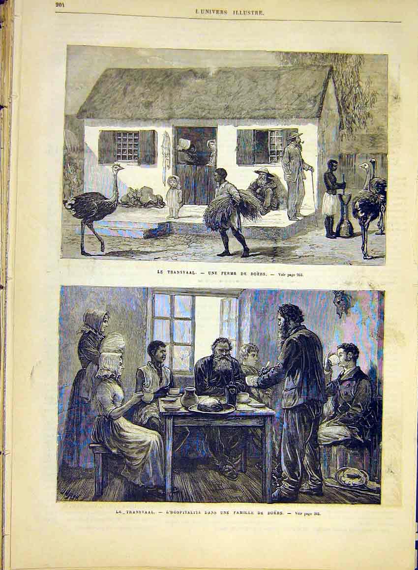 Original Old Antique Print Transvaal Ostrich Boer Farm Africa French 1881 19th